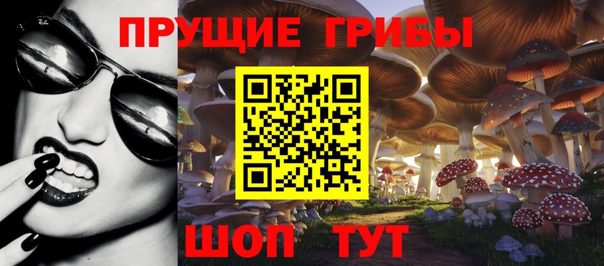 Гусев  Галлюциногенные грибы Magic Shrooms  Вход с VPN 