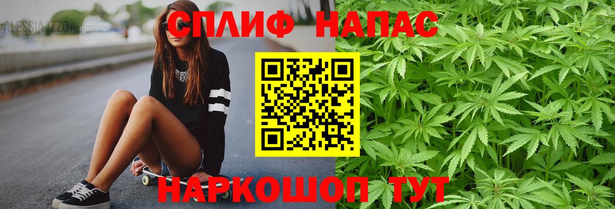 Меф Гусев